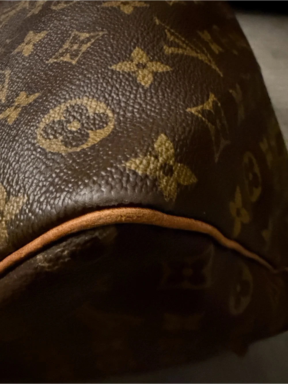 Louis Vuitton iconic louis